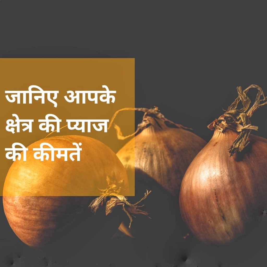 180 रूपये किलो पहुंची प्याज की कीमत, जानिए झारखण्ड में प्याज कितने महंगे ? 1 180 रूपये किलो पहुंची प्याज की कीमत, जानिए झारखण्ड में प्याज कितने महंगे ? 1