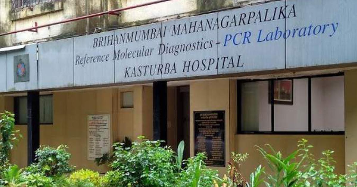 कोरोनावायरस से मरने वालों की संख्या बढ़कर 41, दुनिया भर में 1,300 से अधिक लोग इस वायरस से संक्रमित 1 135196-fadrsdzjhq-1579862957