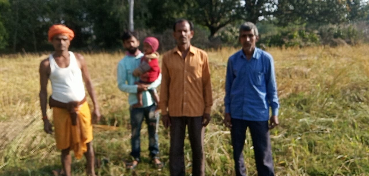 हाथियों के झुंड ने किया फसलों को बर्बाद, किसान परेशान 2