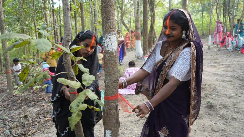 Koderma News : जंगलों की रक्षा के संकल्प के साथ सिमरकुंडी जंगल में रक्षाबंधन कार्यक्रम आयोजित 2