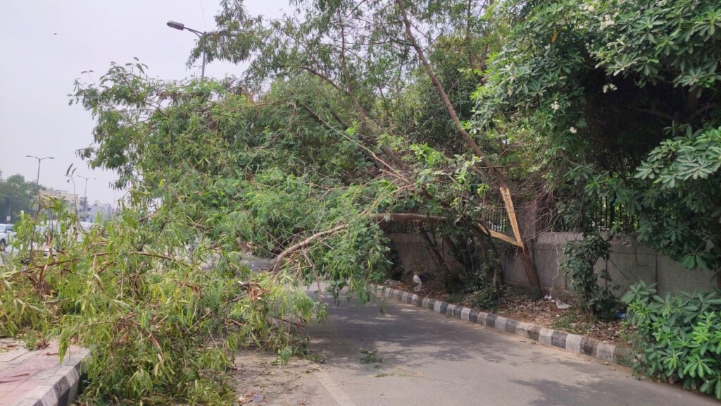 Ranchi Weather Alert: रांची समेत 5 जिलों में येलो अलर्ट, तेज हवाएं-ओलावृष्टि का खतरा 1