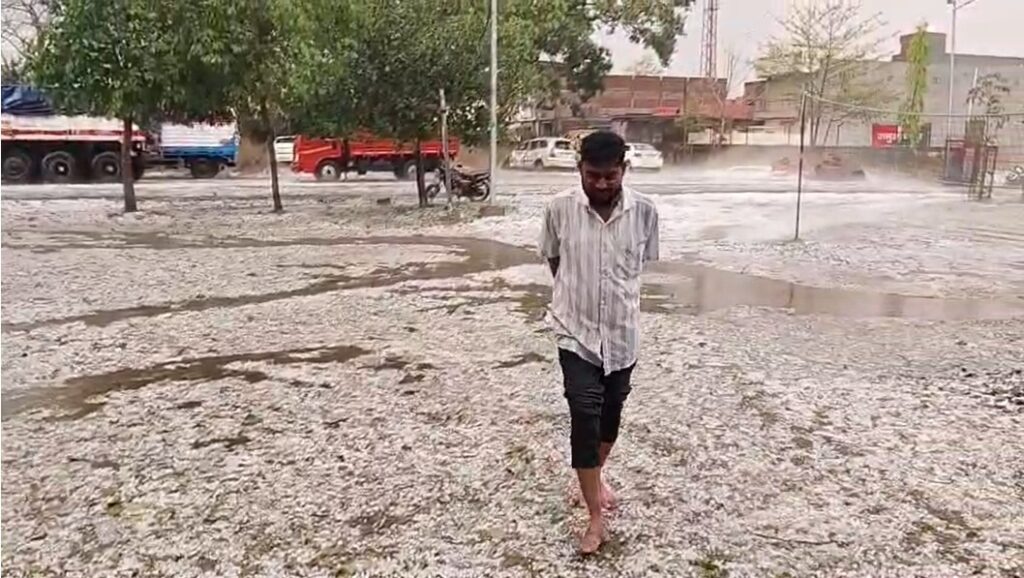 Giridih News : जमुआ में अचानक बर्फबारी से खुशियां भी और तबाही भी, छोटे किसानों की फसलें बर्बाद, मुआवजे की उठी मांग 4