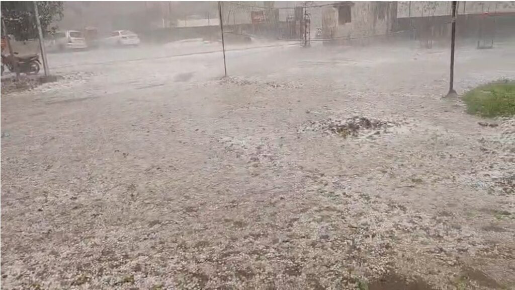 Giridih News : जमुआ में अचानक बर्फबारी से खुशियां भी और तबाही भी, छोटे किसानों की फसलें बर्बाद, मुआवजे की उठी मांग 3