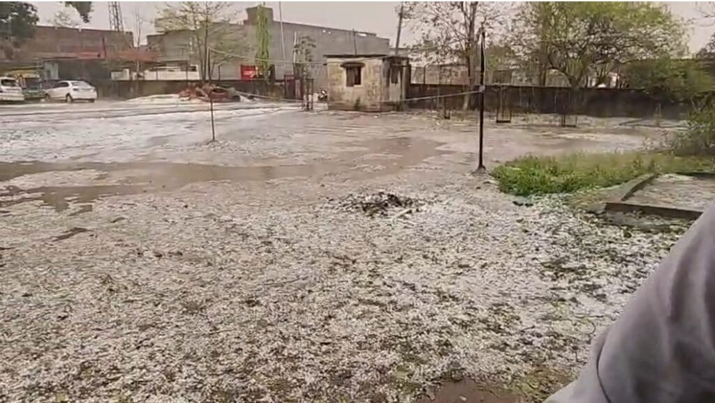 Giridih News : जमुआ में अचानक बर्फबारी से खुशियां भी और तबाही भी, छोटे किसानों की फसलें बर्बाद, मुआवजे की उठी मांग 2