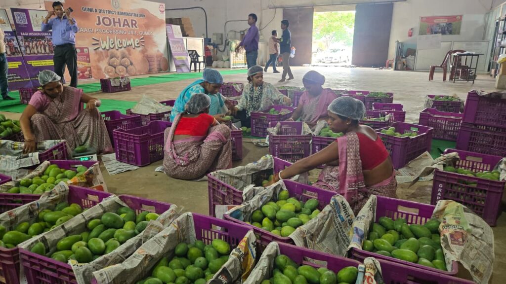 Jharkhand News : मुख्यमंत्री हेमन्त सोरेन के विज़न से बदला ग्रामीण झारखण्ड का परिदृश्य, ‘पलाश’ ब्रांड के जरिए महिलाओं की मेहनत को मिला वैश्विक मंच 3