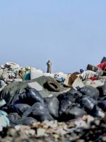 5qeq51ng_plastic-pollution-generic-afp_625x300_02_March_22