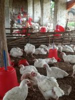 WhatsApp Image 2020-03-15 at 4.18.58 PM