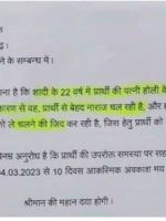 WhatsApp Image 2023-03-05 at 11.24.09 AM