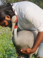 WhatsApp Image 2023-03-23 at 11.48.57 PM