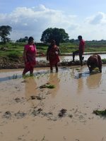 WhatsApp Image 2023-08-18 at 8.45.22 PM