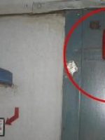 WhatsApp Image 2025-08-26 at 00.44.35_16df6f67