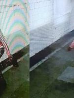 accused_of_jamshedpur_rape_case_arrested_1584254805