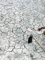 asp_1507051758_749x421