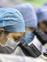 file-20200224-24676-1roxpa5