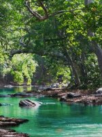 jharkhand-rivers (1)