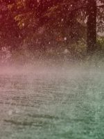 rain-jharkhand-india