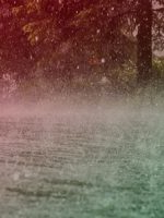 rain-jharkhand-india